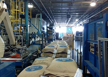 埃塞俄比亚 西达摩 G2 低咖啡因