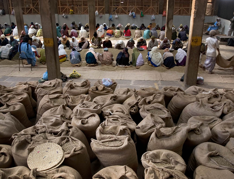 埃塞俄比亚 耶加雪啡 阿瑞查 G1 日晒