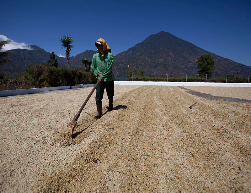 坦桑尼亚 乞力马扎罗